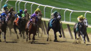 Horse Racing