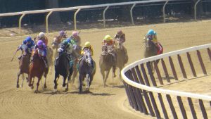 Gotham Stakes